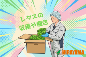 野菜栽培／レタス工場／17時退勤／年休133日／残業ほぼ無し