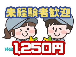 シンプル組立・セットアップ